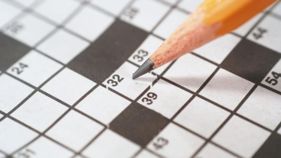 Attention Getting In A Way Crossword Clue Attention Getting In A Way Crossword Clue